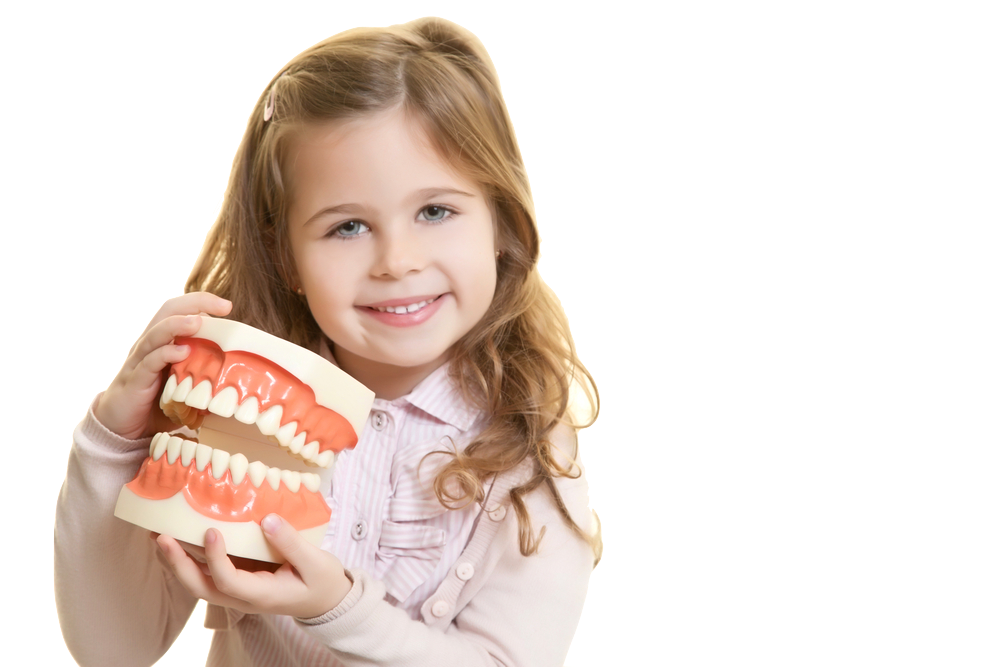 child smiling holding model teeth